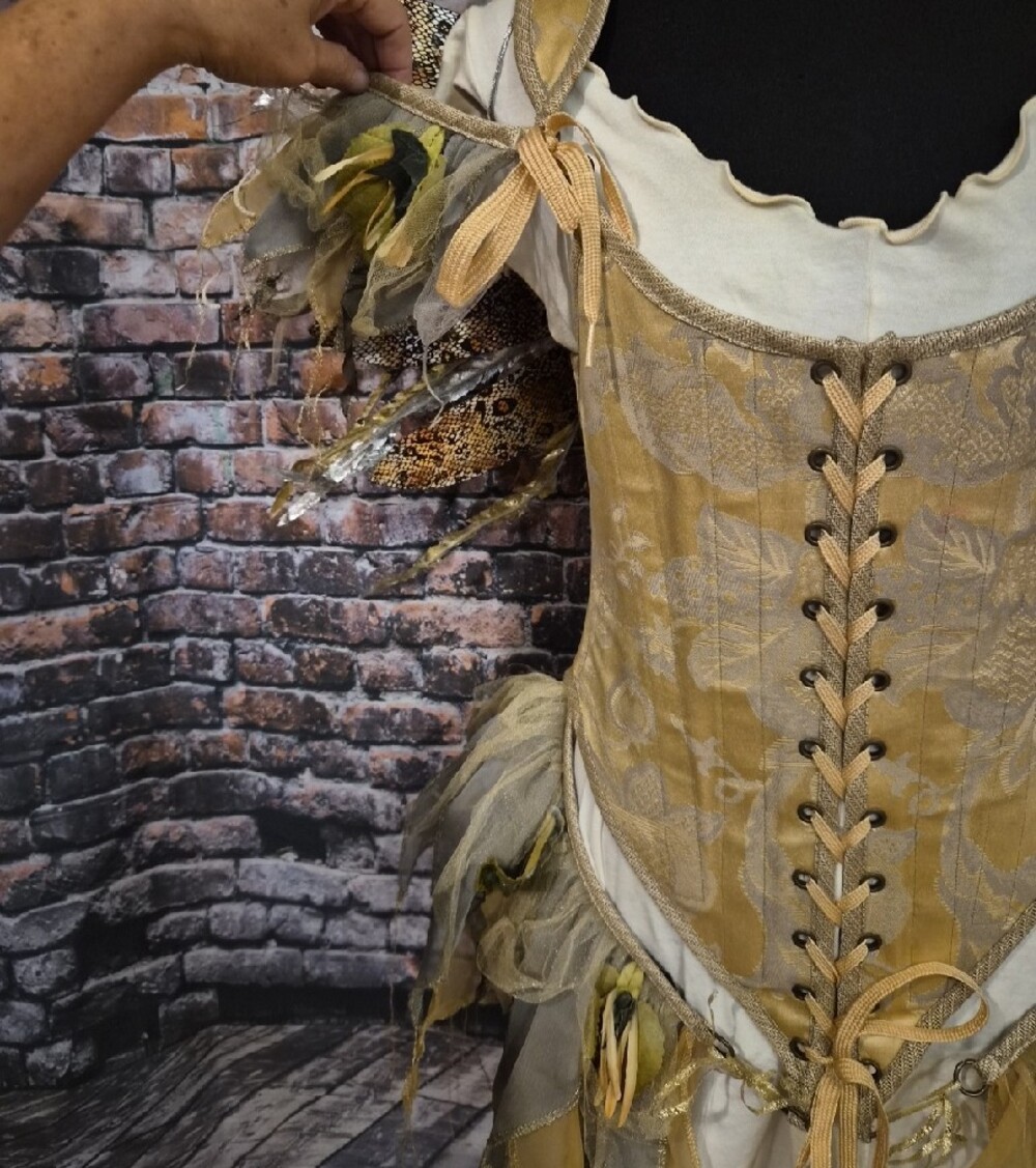 Moresca Gold and Cream Fairy Bodice/Corset Costume Dress - Picture 3 of 16
